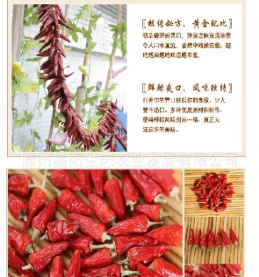 期货辣椒(期货辣椒价格)_https://gj.meihuadianqi.com_国际期货直播间_第1张