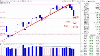 期货中黄金分割是瞎扯嘛(期货中黄金分割是瞎扯嘛为什么)_https://gj.meihuadianqi.com_国际期货行情_第1张