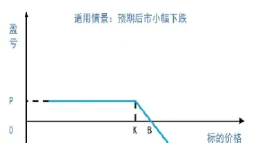 卖出期权权益怎么计算(卖出期权权益怎么计算的)_https://gj.meihuadianqi.com_国际期货喊单_第1张