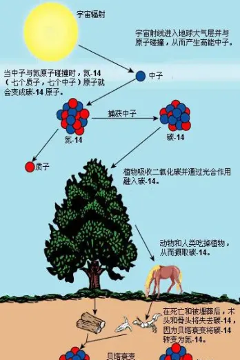 碳14原油(碳14源)_https://gj.meihuadianqi.com_国际期货直播间_第1张