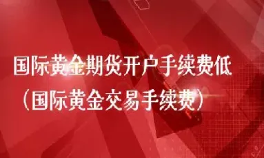 国际期货交易一手费用(国际期货一手多少钱)_https://gj.meihuadianqi.com_国际期货分析_第1张