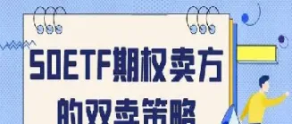 期权的卖方(期权的卖方是谁)_https://gj.meihuadianqi.com_国际期货行情_第1张