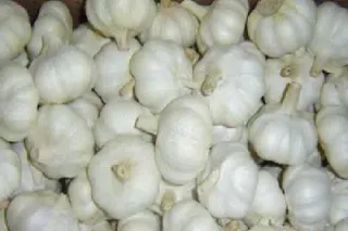 菏泽大蒜期货(菏泽大蒜期货实时行情)_https://gj.meihuadianqi.com_国际期货分析_第1张