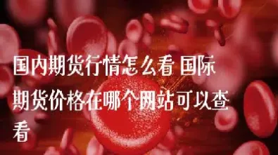 国内期货资料查询(国内期货资料查询网站)_https://gj.meihuadianqi.com_国际期货喊单_第1张