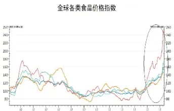 粮食行情期货(粮食行情期货实时行情)_https://gj.meihuadianqi.com_国际期货行情_第1张
