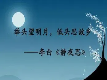 举头向苍天打一期货用语(举头向苍天打一股市用语)_https://gj.meihuadianqi.com_国际期货分析_第1张