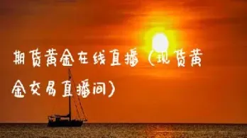 期货英雄在线直播(期货英雄1)_https://gj.meihuadianqi.com_国际期货直播间_第1张