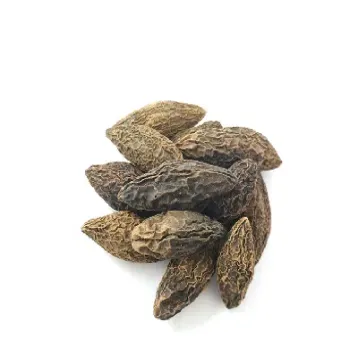 青果期货最新消息(青果期货最新消息新闻)_https://gj.meihuadianqi.com_国际期货直播间_第1张