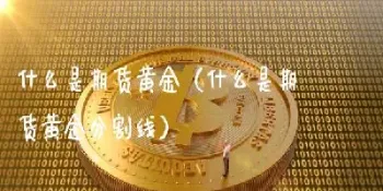 期货黄金交易公式是什么(期货黄金交易公式是什么意思)_https://gj.meihuadianqi.com_国际期货行情_第1张