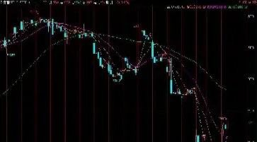 期货柱子(期货柱子两个红的中间绿的)_https://gj.meihuadianqi.com_国际期货分析_第1张